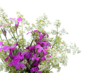 Beautiful bouquet of wild flowers