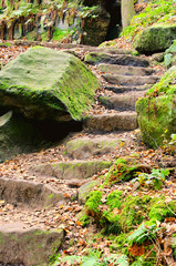 Wall Mural - Sandsteintreppe - steps from sandstone 01