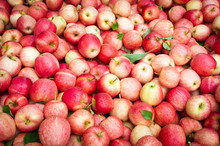 Pile Of Apples