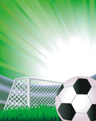 Wall Mural - Soccer abstract background with detailed goal.