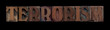 the word terrorism in old letterpress wood type