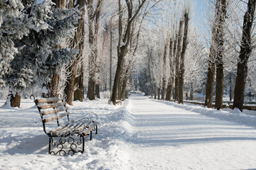 Wall Mural - winter