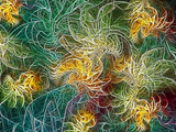 160_f_27337792_2haldt6giyctyaqsaz7whplsuuatwxtp