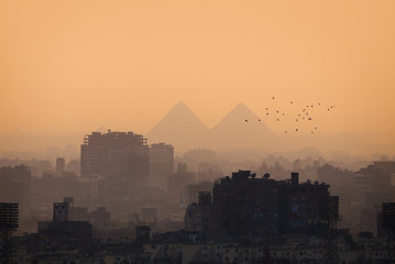 Sticker - Cairo city skyline and Pyramids