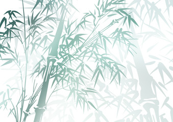Naklejka bambus roślina wzór ilustracja tło