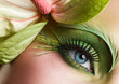 © robroy - Green eye make-up with flower