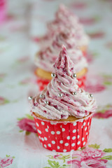 Wall Mural - Festive cupcake