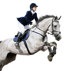 Wall Mural - Equestrian jumper