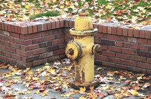 Hydrant & Bricks