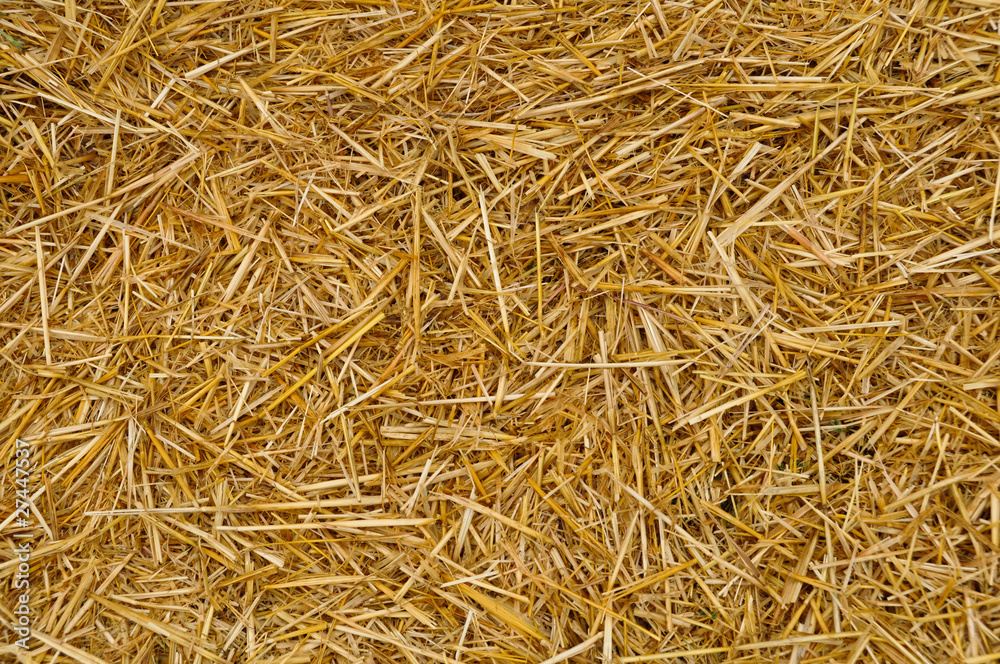 солома тюк текстура крупным планом