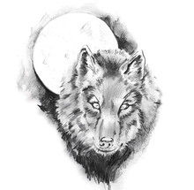 Sketch Of Tattoo Art, Wolf