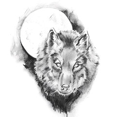 Papier Peint - Sketch of tattoo art, wolf