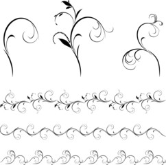 Wall Mural - Set of decorative floral elements and borders for design. Vector