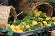 Baskets of Lemons