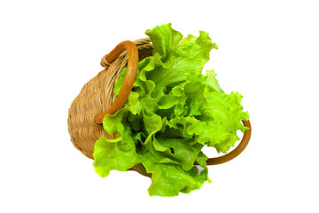 Leaf of green lettuce and wattled basket isolated on a white