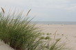 © digifriend - Strandblick