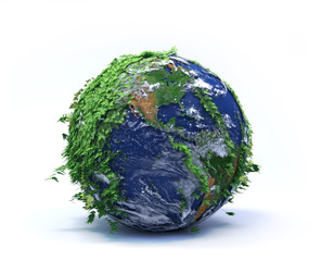 Wall Mural - green globe