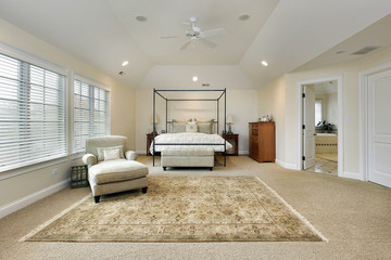 Wall Mural - Master bedroom with tray ceiling