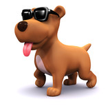 Fototapeta Dinusie - 3d Small dog wearing sunglasses