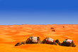 Pause in der Wüste