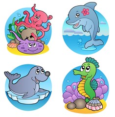 Poster - Various water animals and fishes 1