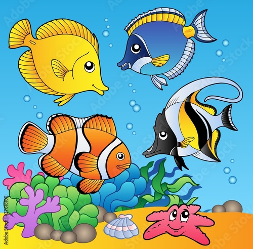 Foto-Banner aus PVC - Underwater animals and fishes 2 (von Klara Viskova)