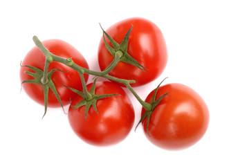 Branch with mellow tomatoes isolated on white