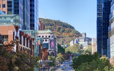 Wall Mural - gratte-ciel de montreal