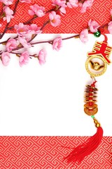 Wall Mural - Chinese New Year Decoration