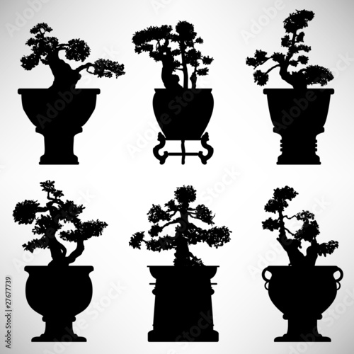 Naklejka na szybę Bonsai Tree Plant Flower Pot