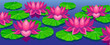 © djahan - Lotuses
