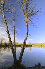 Wall Mural - Autumn day on the lake