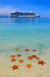 lots of starfish in the caribbean and a cruise ship