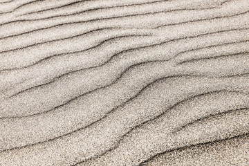 Poster - Sand ripples background