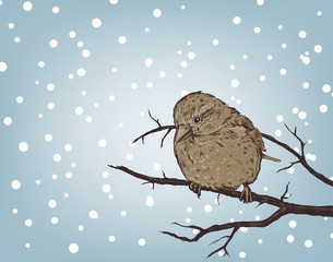 Wall Mural - winter background