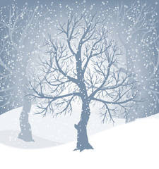 Wall Mural - winter background