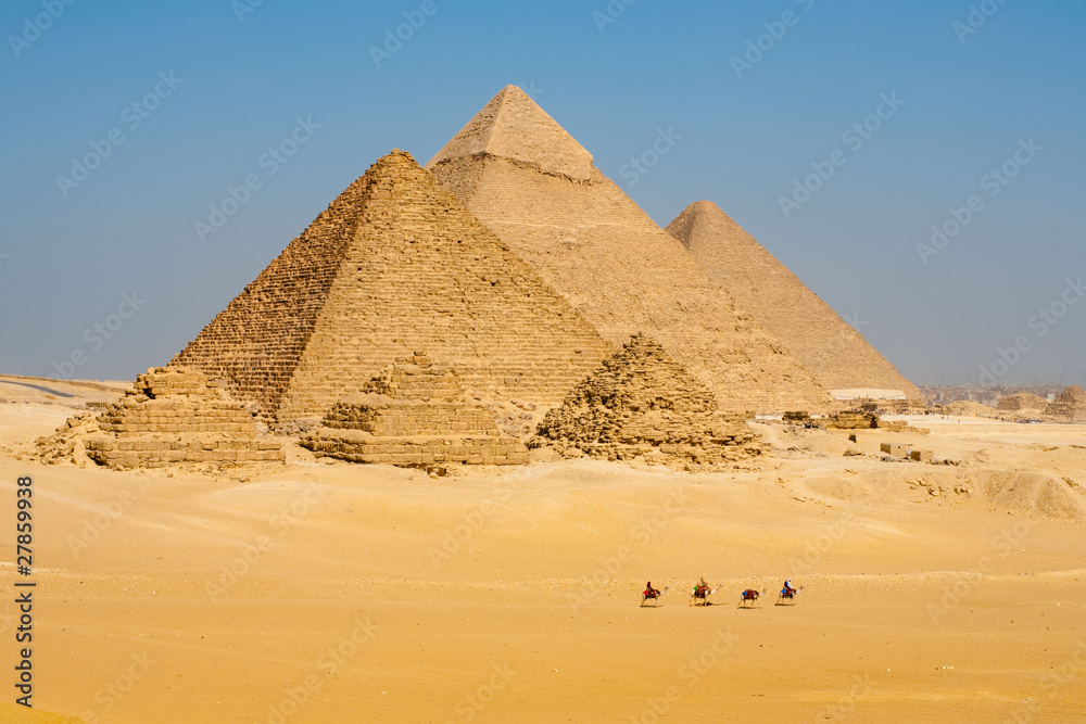 Camels Line Walk Pyramids All - obrazy, fototapety, plakaty 