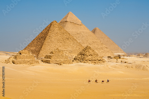 Fototapeta na wymiar Camels Line Walk Pyramids All