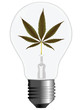 © robertosch - cannabis energy
