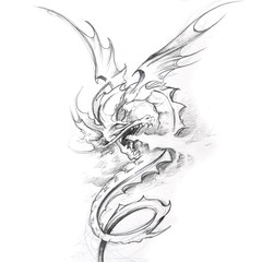 Papier Peint - Tattoo art, sketch of a medieval dragon