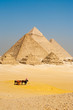 Egyptian Tourists Pyramids Giza