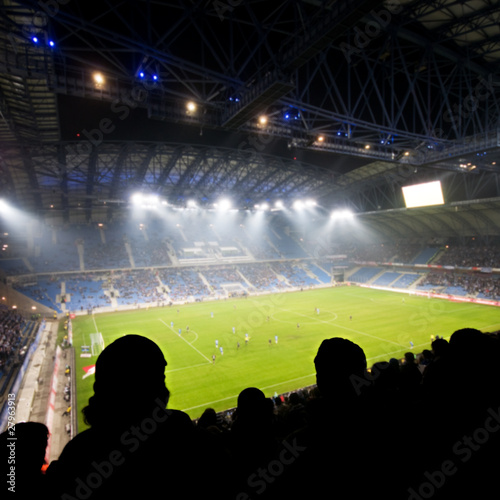 Naklejka dekoracyjna Fans celebrating goal