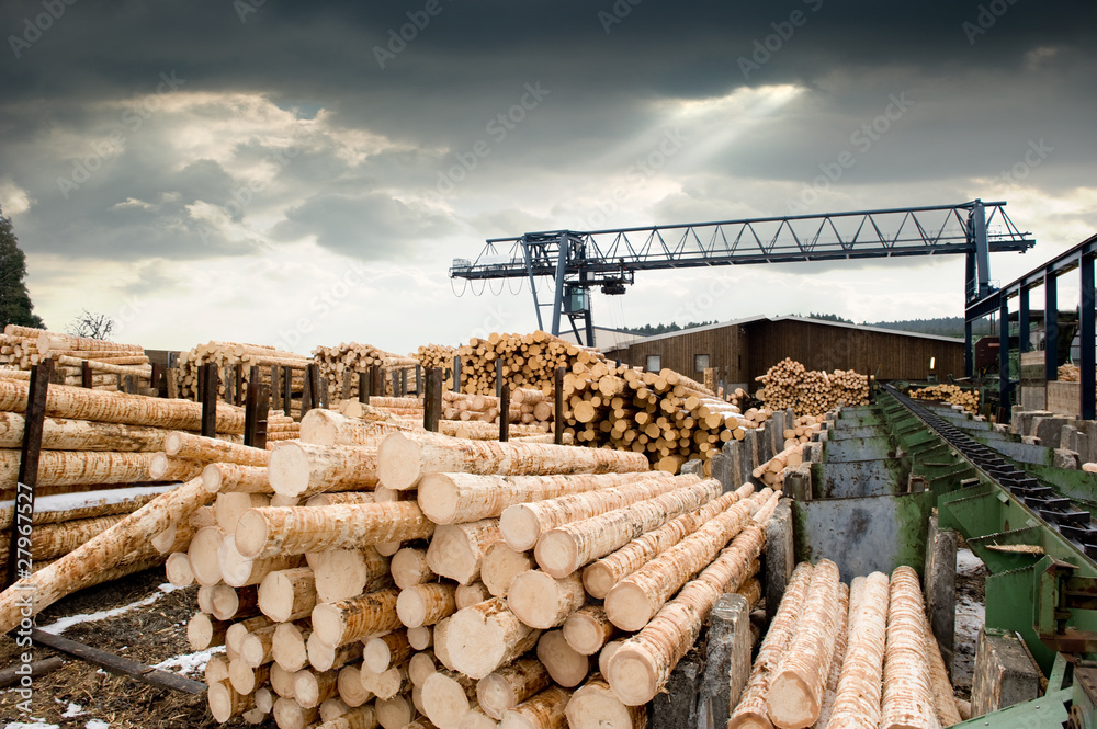 Sawmill (lumber mill) - obrazy, fototapety, plakaty 