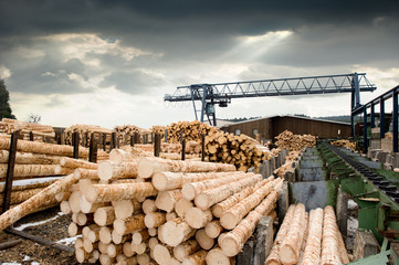 Wall Mural - Sawmill (lumber mill)