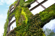 Mur végétal Façade immeuble Végétalisé