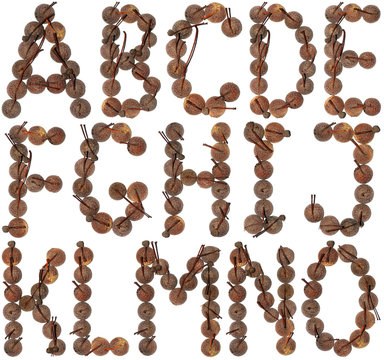 Alphabet