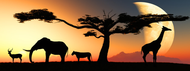 african animals