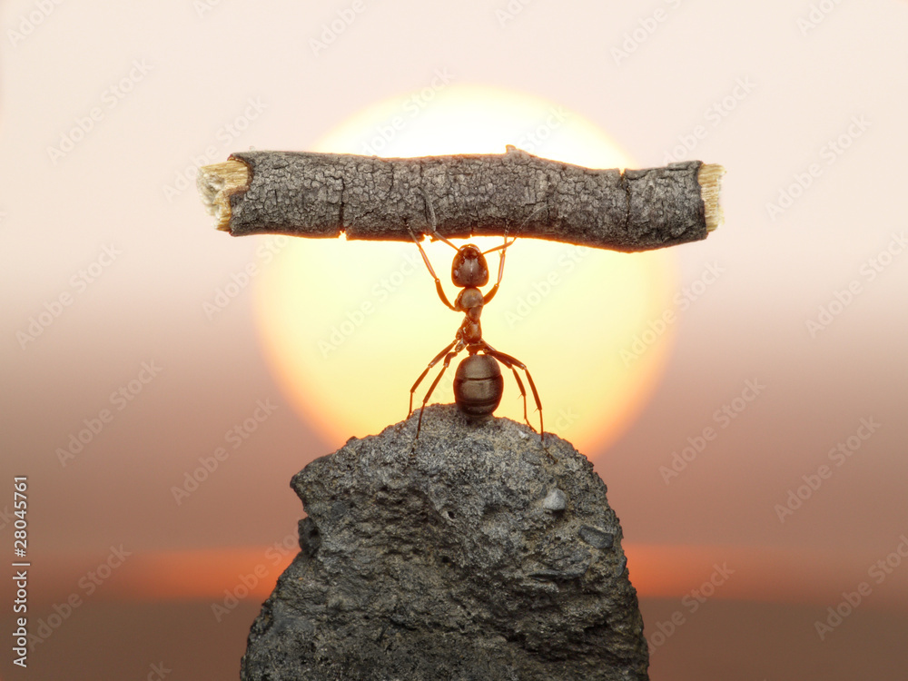 Statue of Labour, 150 million years of ants civilization - obrazy, fototapety, plakaty 