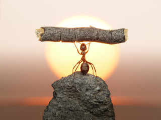 statue of labour, 150 million years of ants civilization