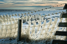 Fence Covered In Ice